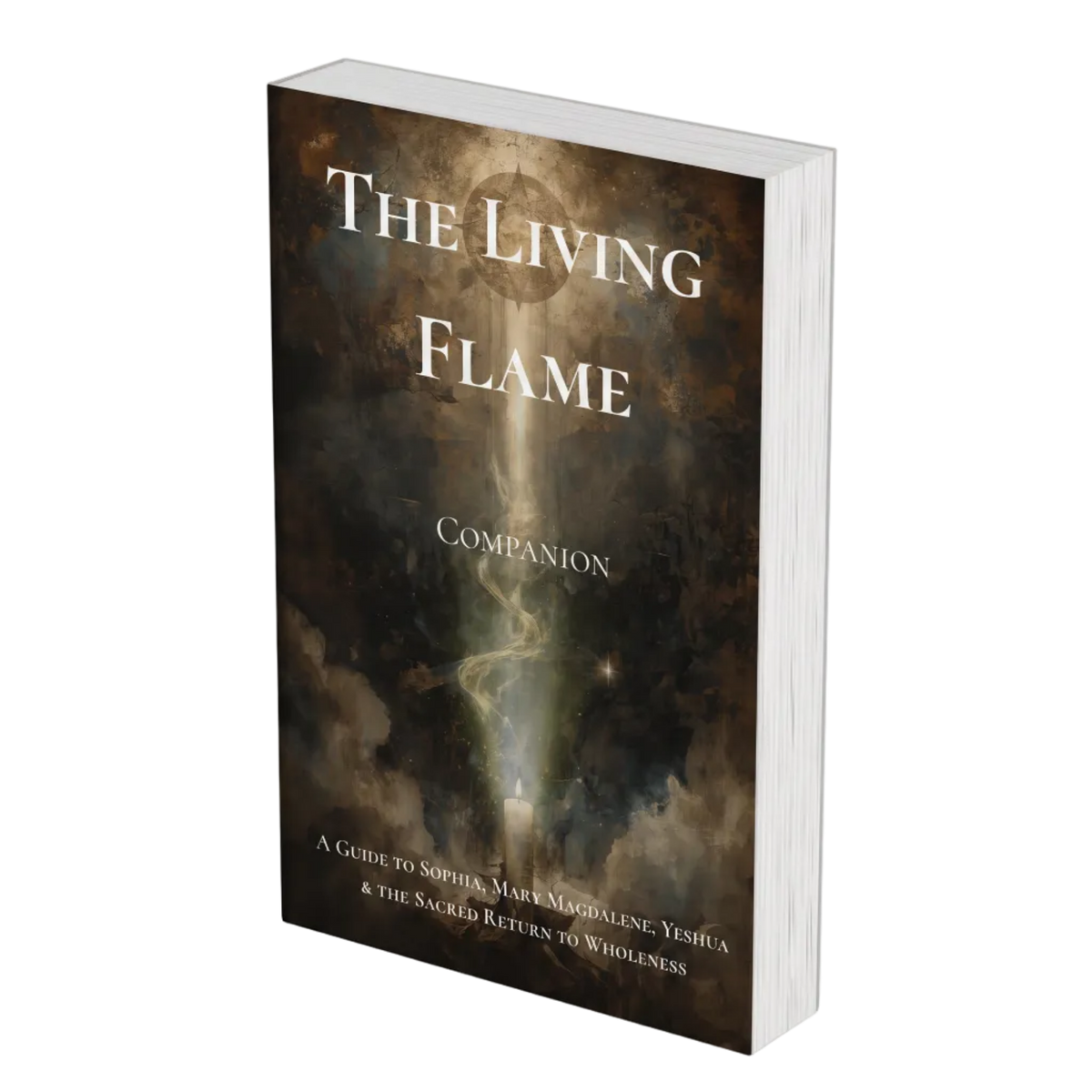 A single book titled "The Living Flame Companion" shown standing upright at a slight angle on a black background. The cover features a dramatic dark smoky illustration with a bright vertical light and white title text.